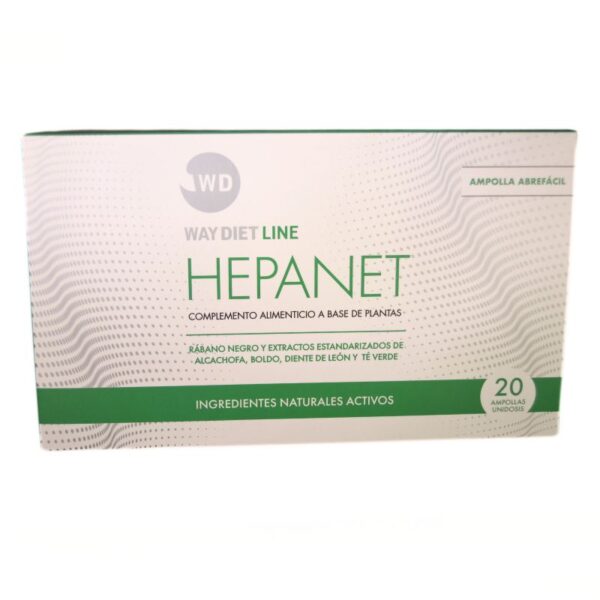 HEPANET