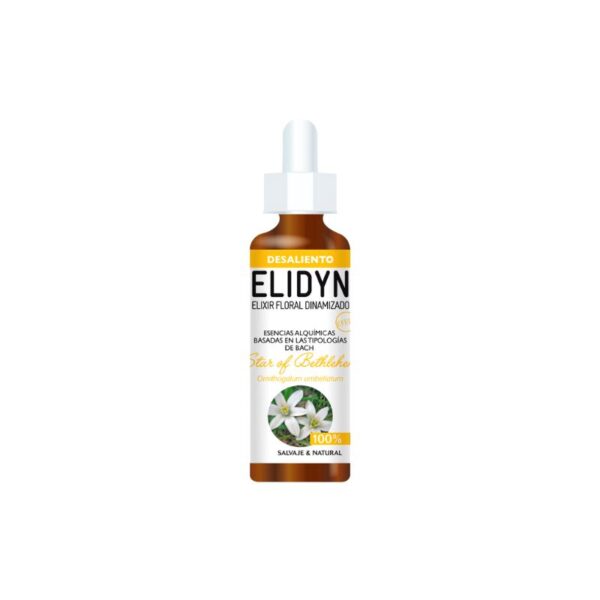 STAR OF BETHLEHEMM Evase 20 ml.